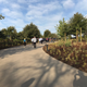 Walking up the hill on campus to the Steve Jobs Theater.